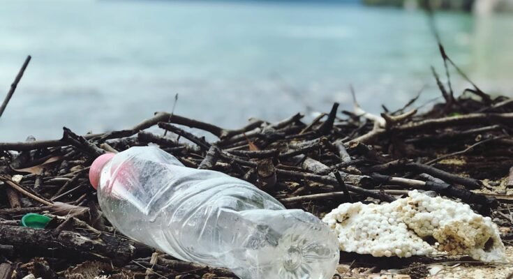 How Plastic Pollution is Endangering Marine Life and What You Can Do About It