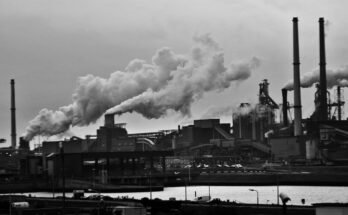 How Air Pollution Affects Public Health and the Environment"