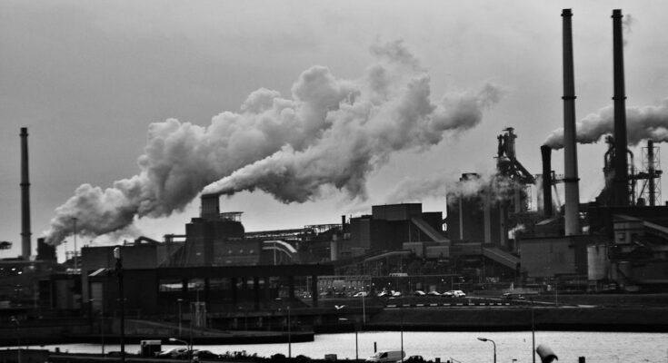 How Air Pollution Affects Public Health and the Environment"