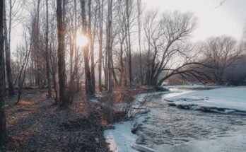Climate Change and Its Effects on Global Agriculture