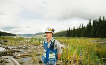 The Importance of Citizen Science in Environmental Conservation